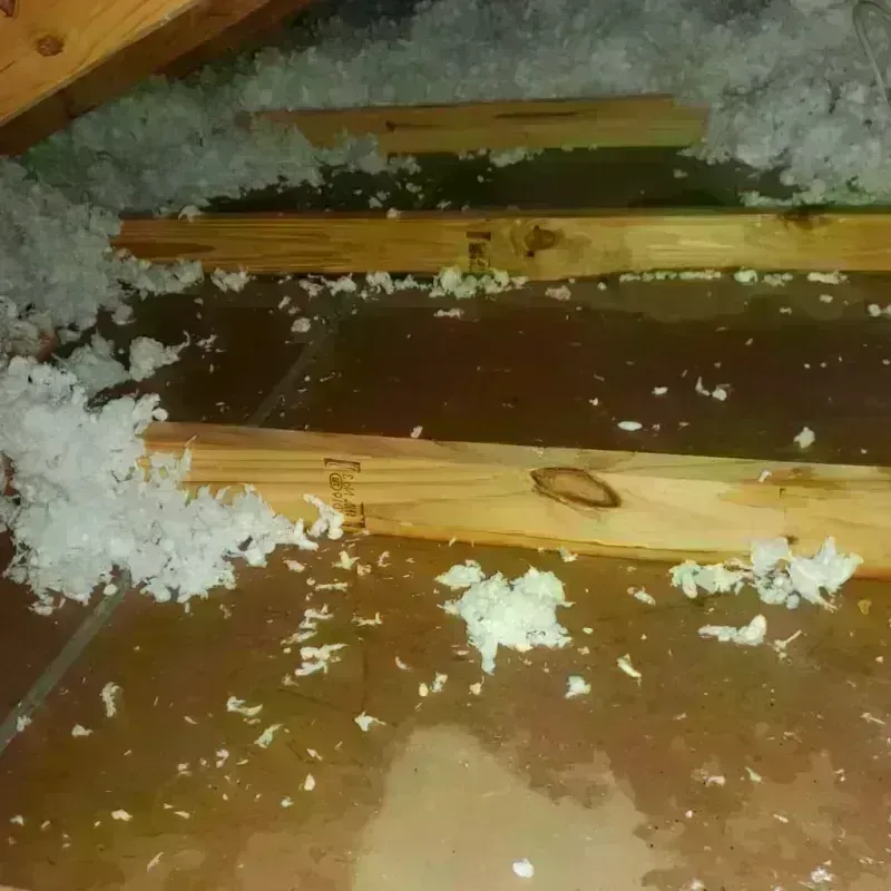 Attic Water Damage in North Vacherie, LA